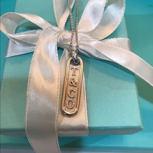 Retired Tiffany & Co. Necklace pendant charm